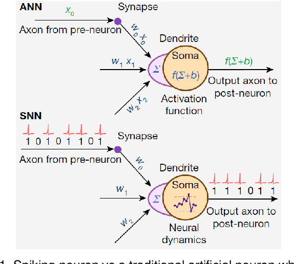 Figure 1 for Spiking Neural Network Integrated Circuits: A Review of Trends and Future Directions