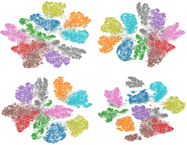 Figure 3 for t-SNE-CUDA: GPU-Accelerated t-SNE and its Applications to Modern Data