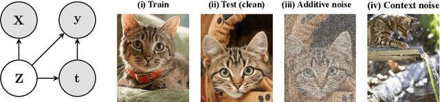 Figure 1 for Treatment Learning Transformer for Noisy Image Classification