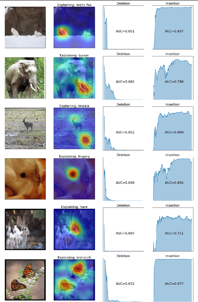 Figure 1 for RISE: Randomized Input Sampling for Explanation of Black-box Models