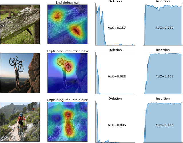Figure 3 for RISE: Randomized Input Sampling for Explanation of Black-box Models