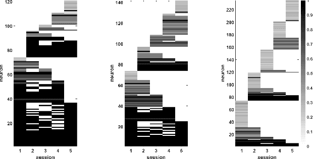 Figure 2 for Clustering with Fast, Automated and Reproducible assessment applied to longitudinal neural tracking