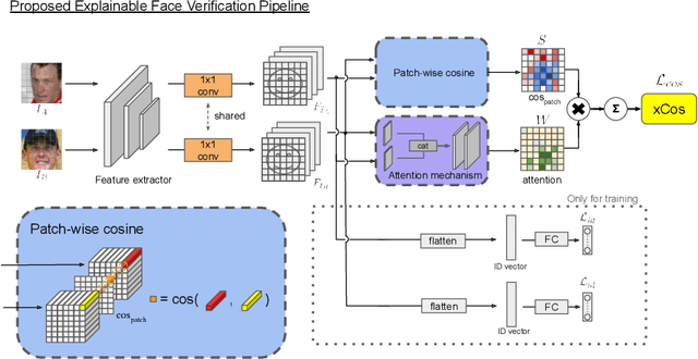 Figure 3 for xCos: An Explainable Cosine Metric for Face Verification Task
