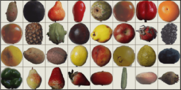 Figure 2 for A Comprehensive Study on Torchvision Pre-trained Models for Fine-grained Inter-species Classification