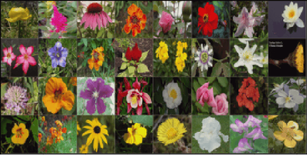 Figure 4 for A Comprehensive Study on Torchvision Pre-trained Models for Fine-grained Inter-species Classification