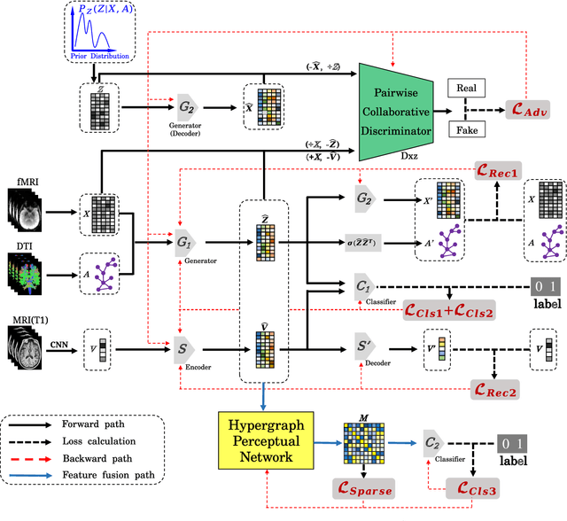 Figure 1 for A Prior Guided Adversarial Representation Learning and Hypergraph Perceptual Network for Predicting Abnormal Connections of Alzheimer's Disease
