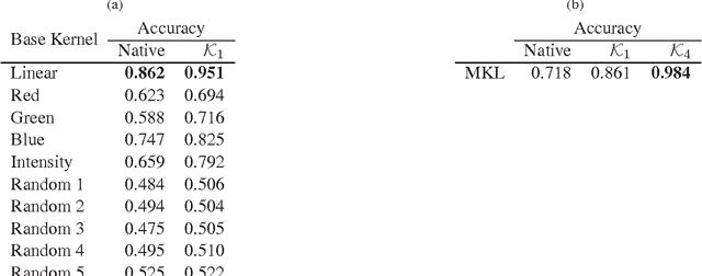 Figure 4 for Learning Multi-modal Similarity