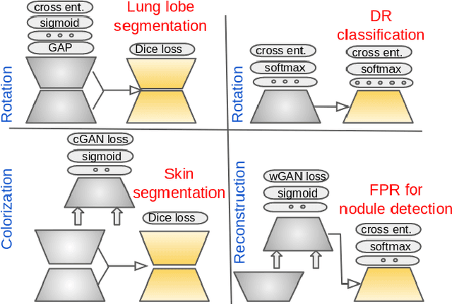 Figure 1 for Surrogate Supervision for Medical Image Analysis: Effective Deep Learning From Limited Quantities of Labeled Data