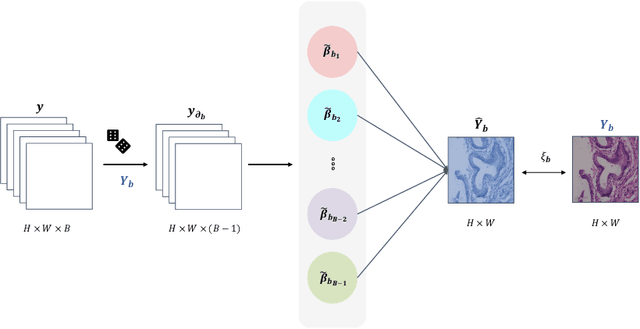Figure 1 for S$^3$R: Self-supervised Spectral Regression for Hyperspectral Histopathology Image Classification
