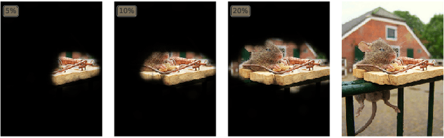 Figure 1 for Understanding Deep Networks via Extremal Perturbations and Smooth Masks