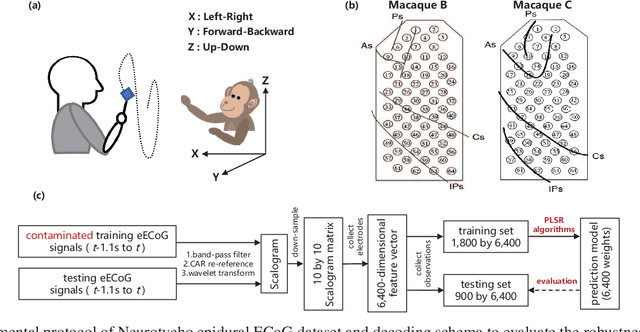 Figure 2 for Partial Maximum Correntropy Regression for Robust Trajectory Decoding from Noisy Epidural Electrocorticographic Signals
