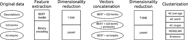 Figure 1 for Natural language processing for clusterization of genes according to their functions