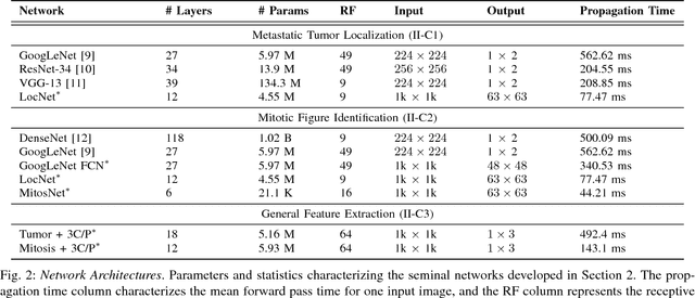 Figure 2 for Deep Learning Assessment of Tumor Proliferation in Breast Cancer Histological Images