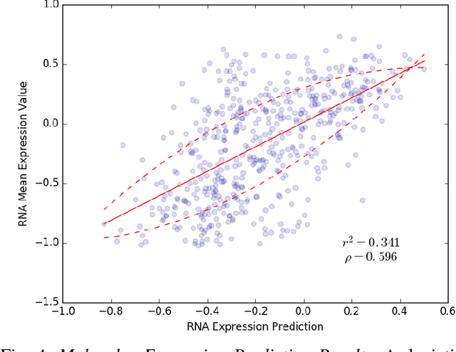 Figure 4 for Deep Learning Assessment of Tumor Proliferation in Breast Cancer Histological Images
