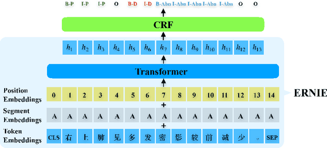 Figure 4 for Fine-tuning ERNIE for chest abnormal imaging signs extraction