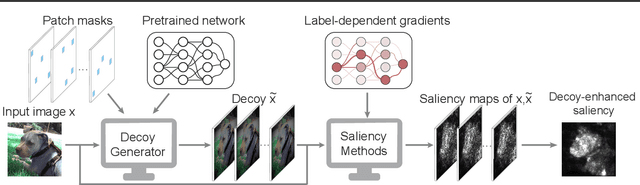 Figure 1 for Robust saliency maps with decoy-enhanced saliency score