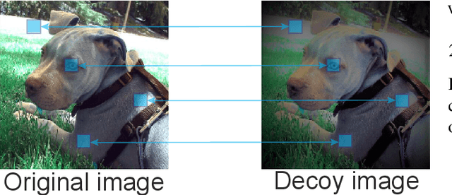 Figure 2 for Robust saliency maps with decoy-enhanced saliency score