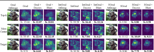 Figure 3 for Robust saliency maps with decoy-enhanced saliency score