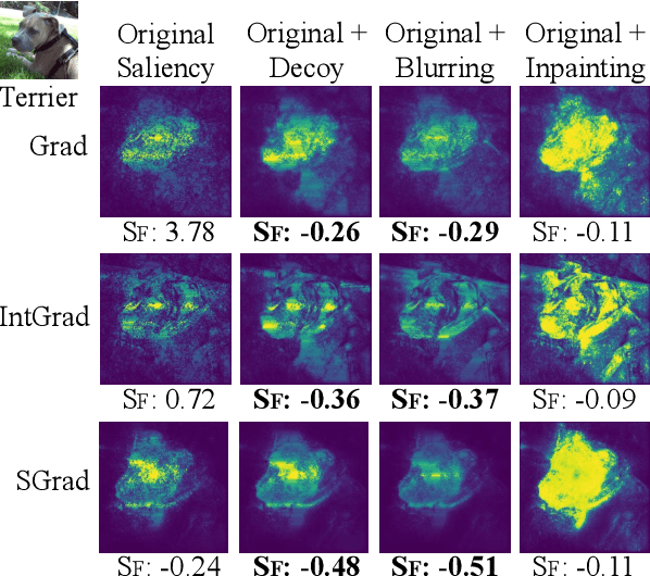 Figure 4 for Robust saliency maps with decoy-enhanced saliency score