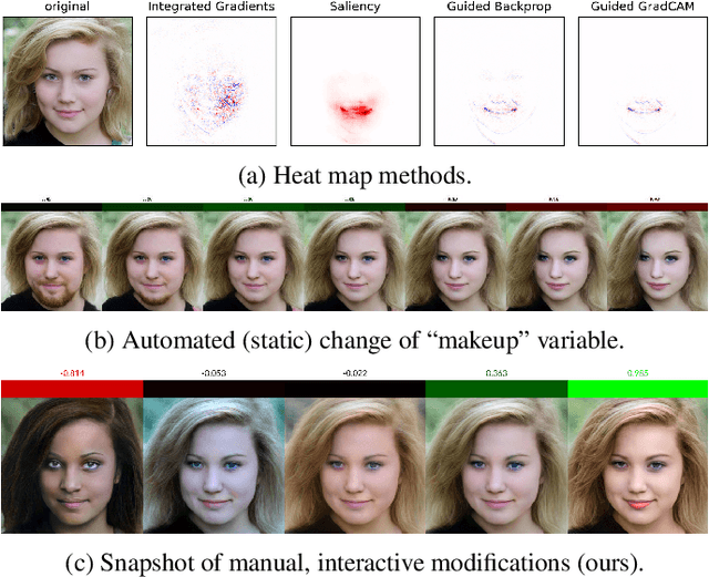Figure 1 for Explainability Requires Interactivity
