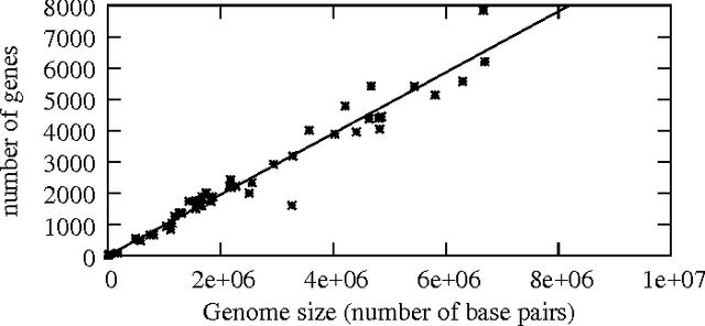 Figure 3 for Emergent Network Structure, evolvable Robustness and non-linear Effects of Point Mutations in an Artificial Genome Model