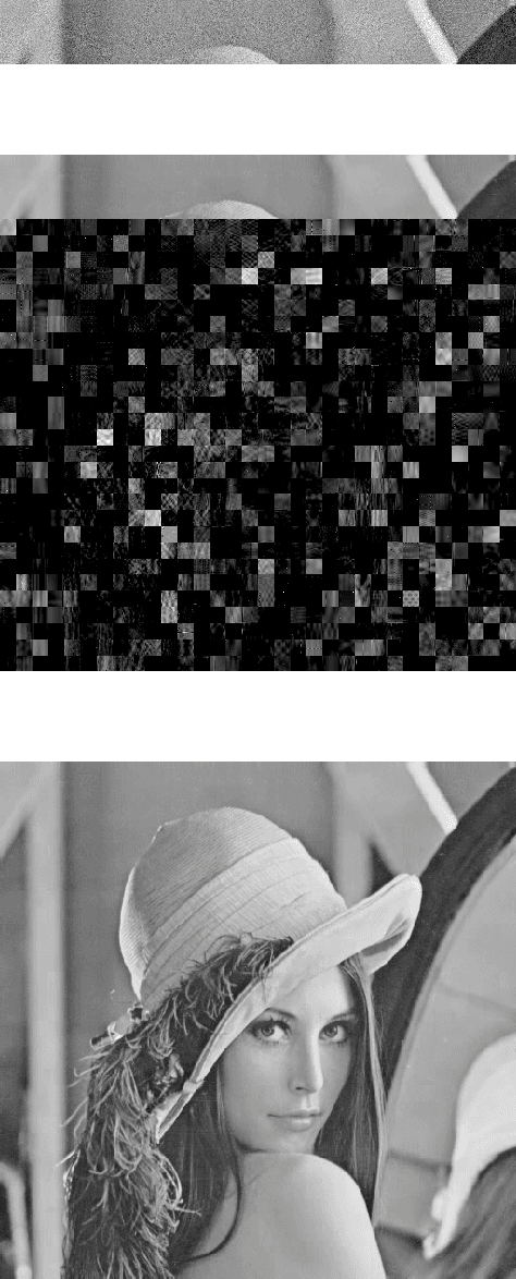 Figure 4 for Sparsity and `Something Else': An Approach to Encrypted Image Folding