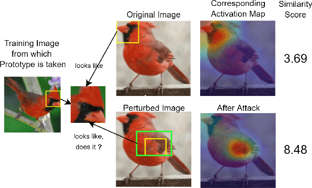 Figure 1 for This Looks Like That Does it? Shortcomings of Latent Space Prototype Interpretability in Deep Networks