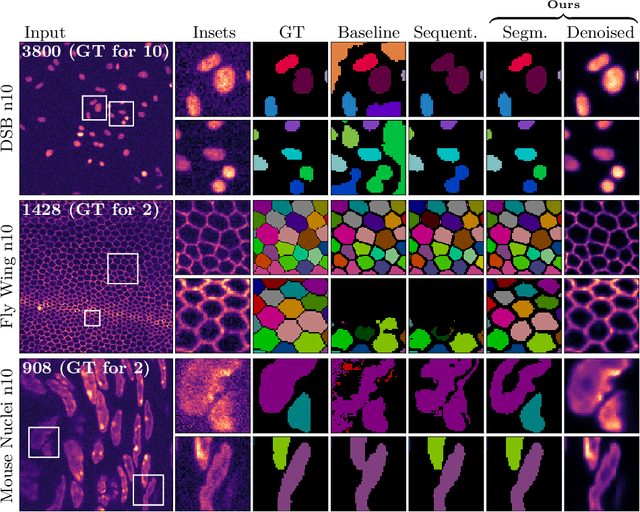 Figure 4 for DenoiSeg: Joint Denoising and Segmentation