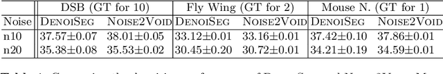 Figure 2 for DenoiSeg: Joint Denoising and Segmentation