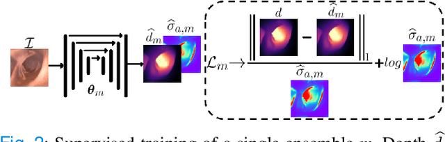 Figure 2 for On the Uncertain Single-View Depths in Endoscopies