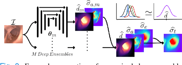 Figure 3 for On the Uncertain Single-View Depths in Endoscopies
