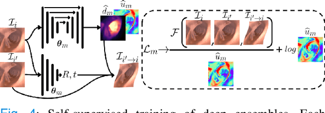 Figure 4 for On the Uncertain Single-View Depths in Endoscopies