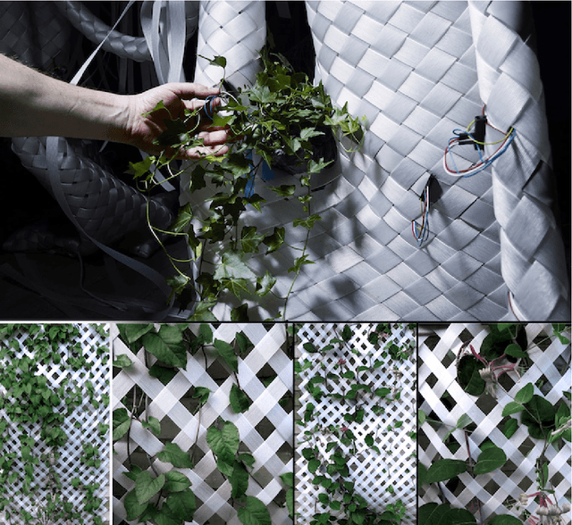Figure 2 for Flora robotica -- An Architectural System Combining Living Natural Plants and Distributed Robots
