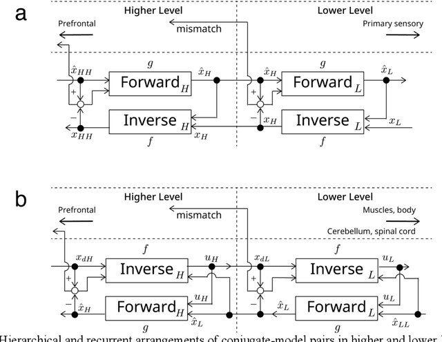 Figure 2 for From internal models toward metacognitive AI