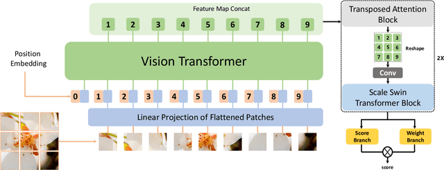 Figure 3 for MANIQA: Multi-dimension Attention Network for No-Reference Image Quality Assessment
