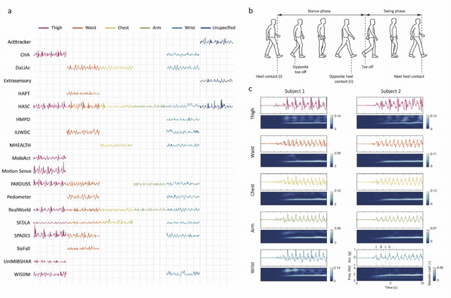 Figure 2 for A 'one-size-fits-most' walking recognition method for smartphones, smartwatches, and wearable accelerometers
