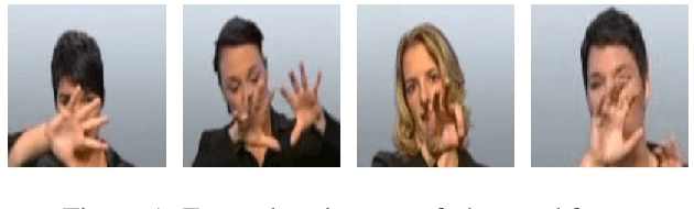 Figure 2 for FePh: An Annotated Facial Expression Dataset for the RWTH-PHOENIX-Weather 2014 Dataset