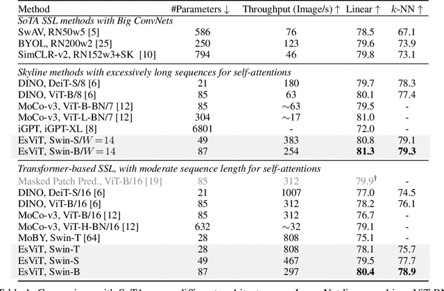 Figure 2 for Efficient Self-supervised Vision Transformers for Representation Learning