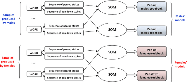 Figure 4 for Gender classification by means of online uppercase handwriting: A text-dependent allographic approach