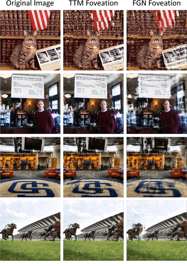 Figure 2 for SideEye: A Generative Neural Network Based Simulator of Human Peripheral Vision