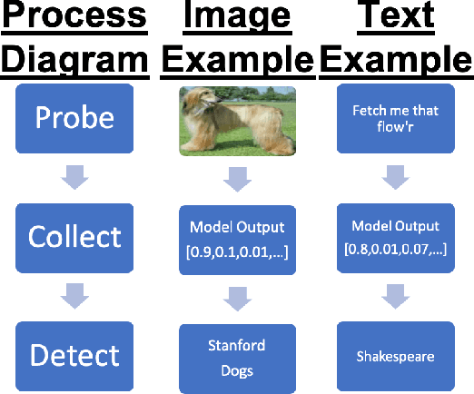 Figure 1 for Black Box to White Box: Discover Model Characteristics Based on Strategic Probing
