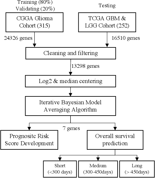 Figure 1 for Survival prediction and risk estimation of Glioma patients using mRNA expressions