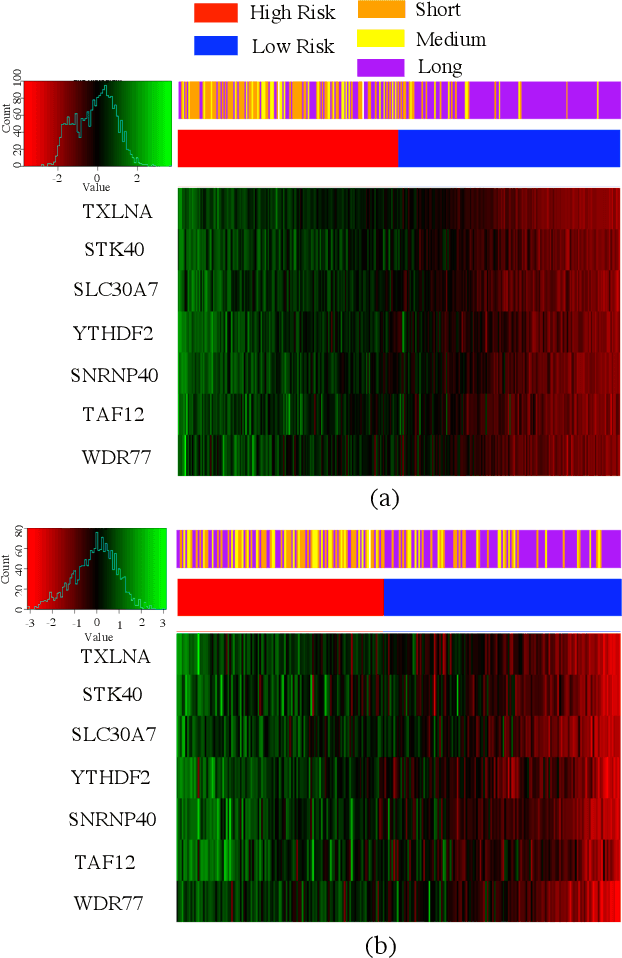Figure 3 for Survival prediction and risk estimation of Glioma patients using mRNA expressions