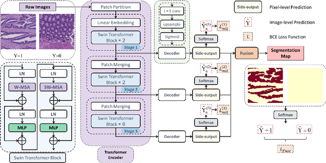 Figure 1 for Transformer based multiple instance learning for weakly supervised histopathology image segmentation