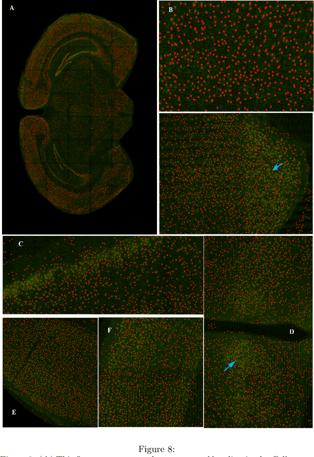 Figure 2 for Cellcounter: a deep learning framework for high-fidelity spatial localization of neurons