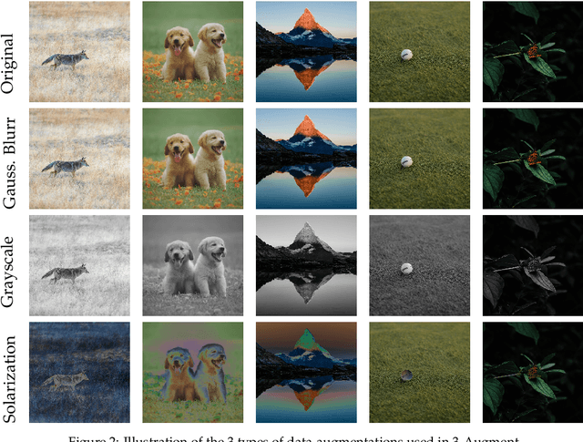 Figure 4 for DeiT III: Revenge of the ViT