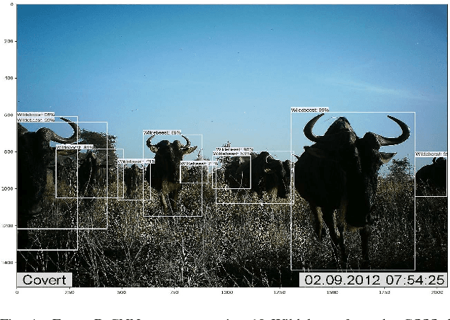 Figure 4 for Deep Learning Object Detection Methods for Ecological Camera Trap Data