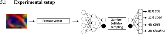 Figure 4 for Emergent symbolic language based deep medical image classification
