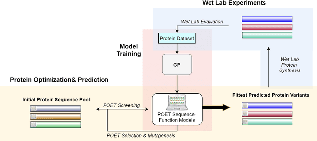 Figure 3 for Using Genetic Programming to Predict and Optimize Protein Function