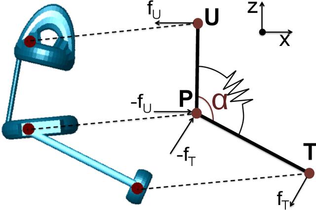 Figure 2 for Motion optimization and parameter identification for a human and lower-back exoskeleton model